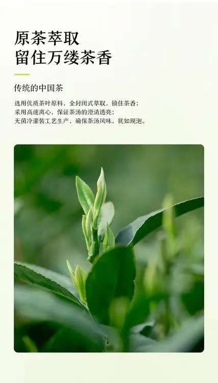 天然調味料 農学博士 越智宏倫著 农夫山泉东方树叶青柑普洱茶500ml_饮料_势竟成（厦门）科技有限公司